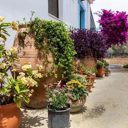 Apartment Garden House *