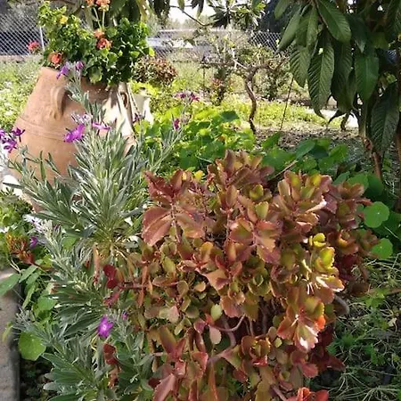 Garden House