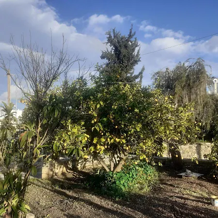 Garden House Pitsidia