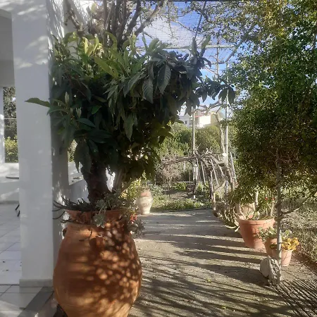 Garden House Apartment