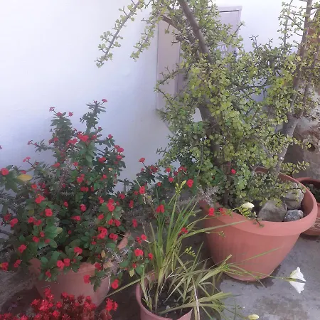 Garden House Apartment Pitsidia